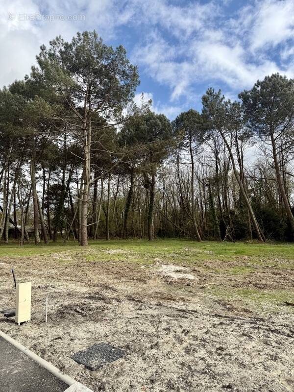 Terrain à SAINT-AUBIN-DE-MEDOC