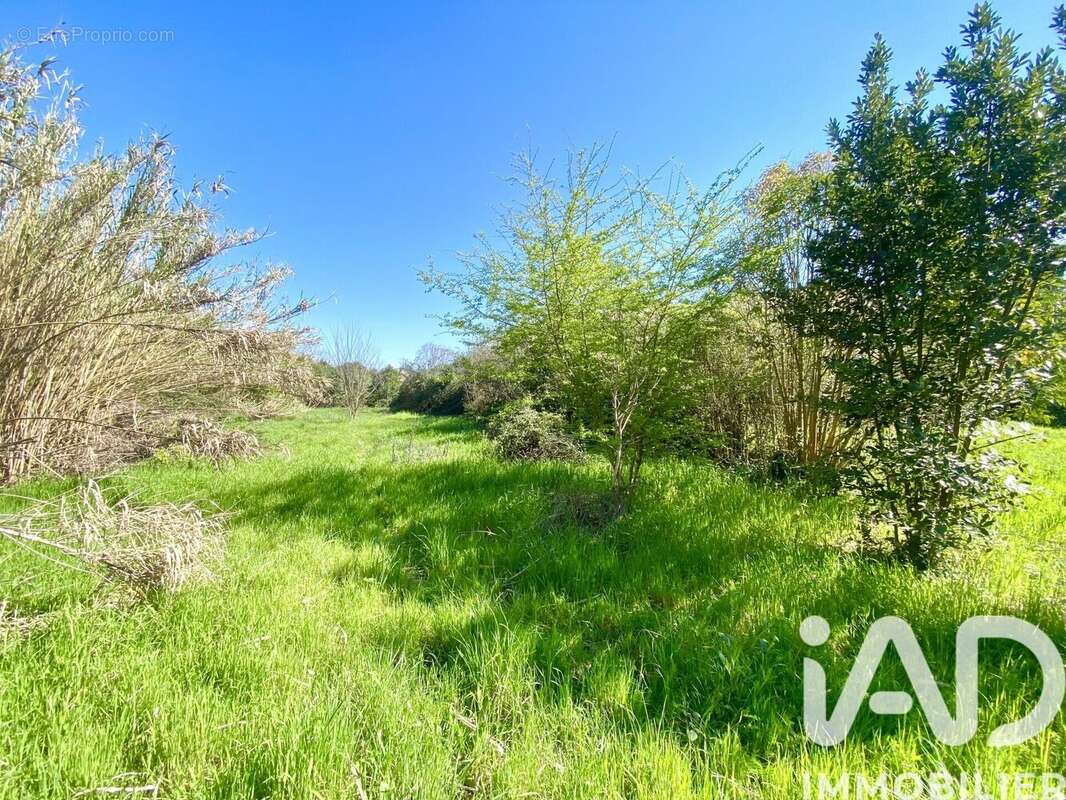 Photo 5 - Maison à LAPALUD