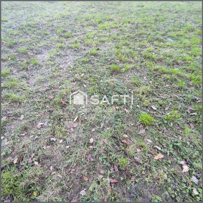 Photo 1 - Terrain à JOUE-SUR-ERDRE