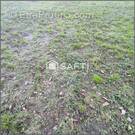 Photo 1 - Terrain à JOUE-SUR-ERDRE