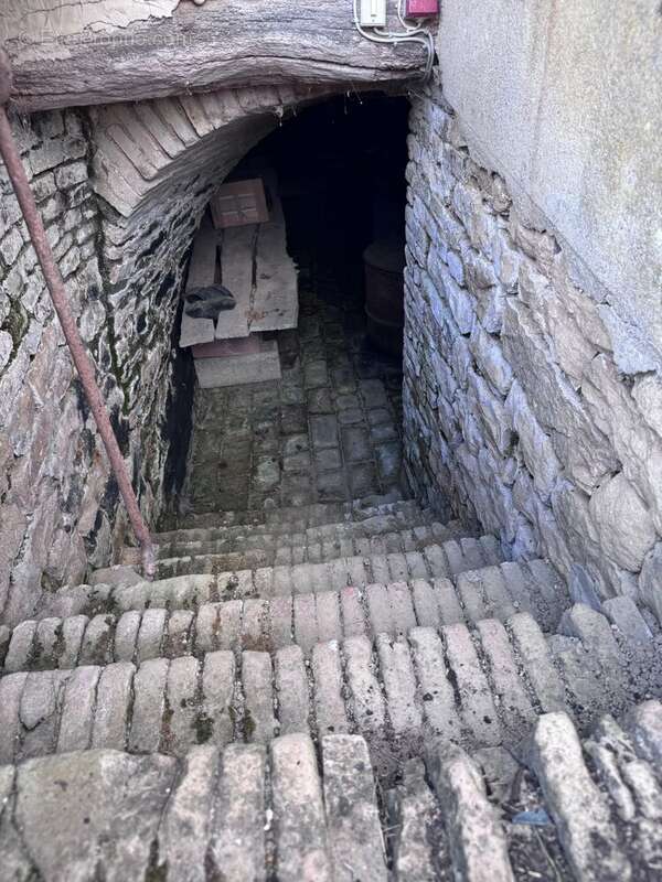Ferme bressane avec dépendances et 1 hectare - photo 10