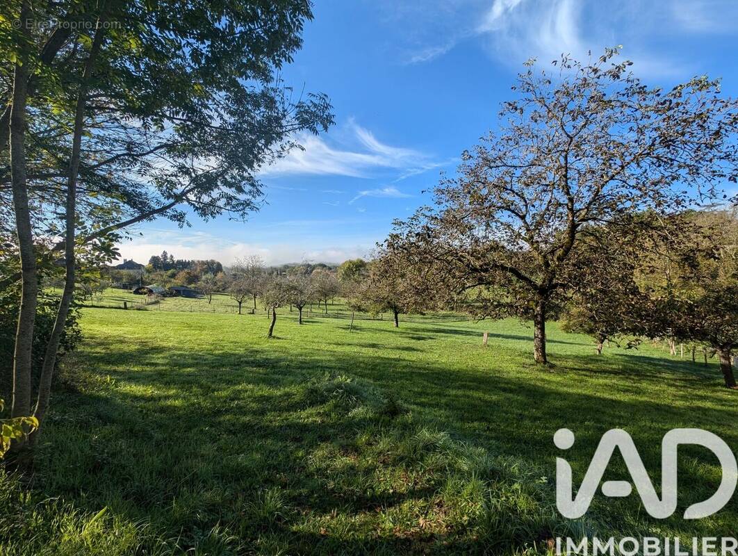 Photo 1 - Terrain à MEYSSAC