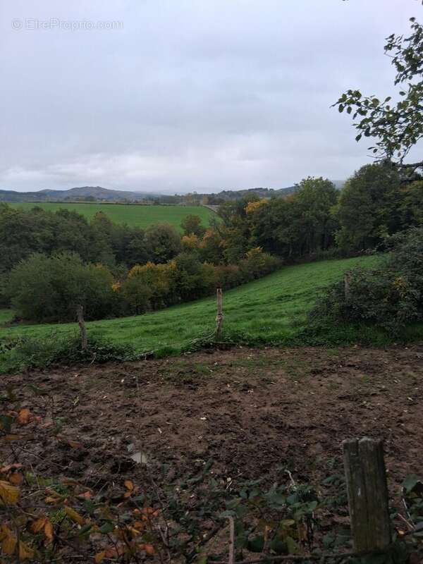 Maison à NIZEROLLES