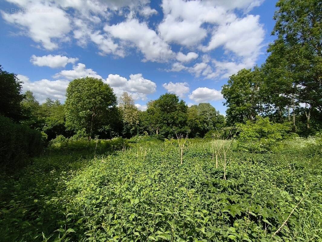 Terrain à VALLANGOUJARD