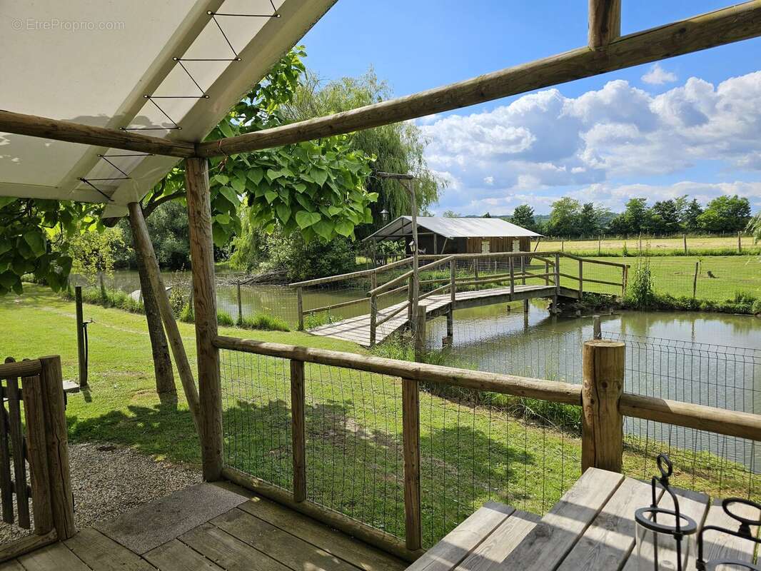 Complexe de glamping sur plus de 5 hectares avec étang - photo 3