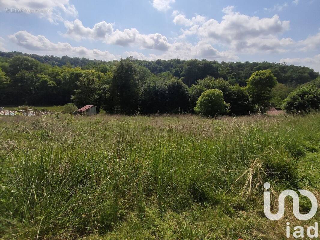 Photo 1 - Terrain à PONT-DU-CASSE