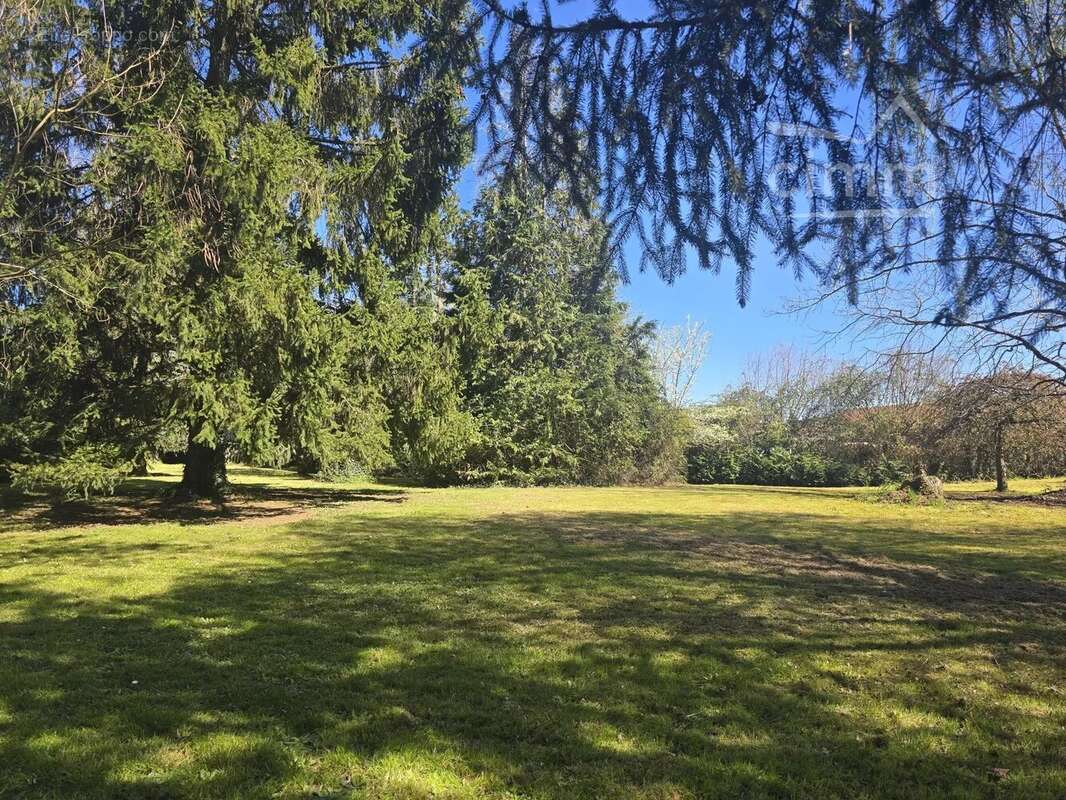 Terrain à SAINT-ELOY-DE-GY