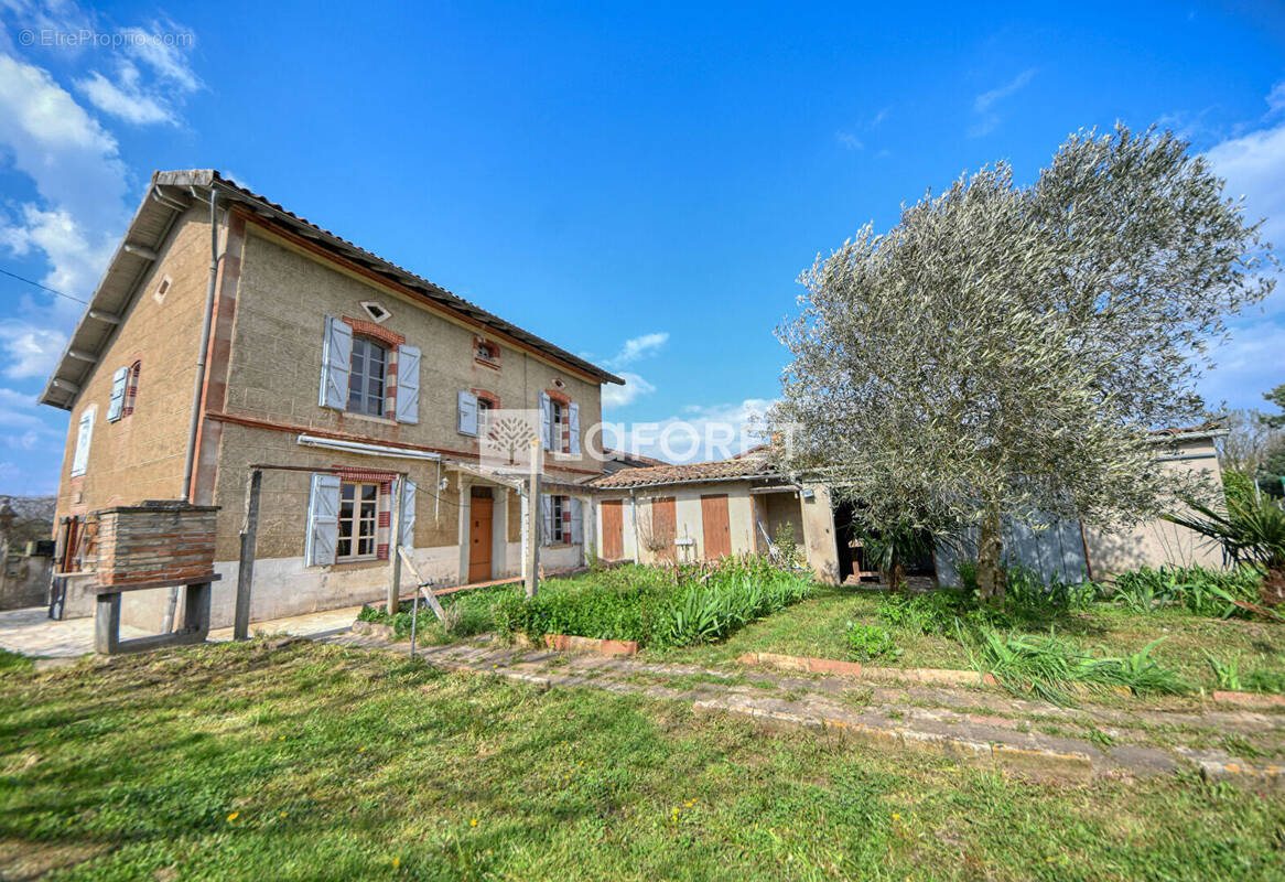 Maison à LISLE-SUR-TARN