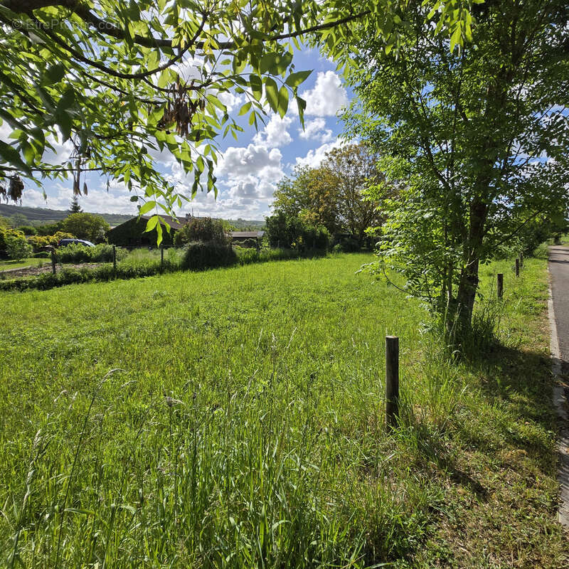 Terrain à TANTONVILLE