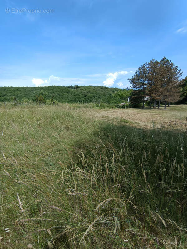 Terrain à LAVILLEDIEU