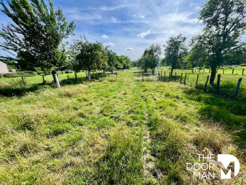 Maison 52400 - photo 25