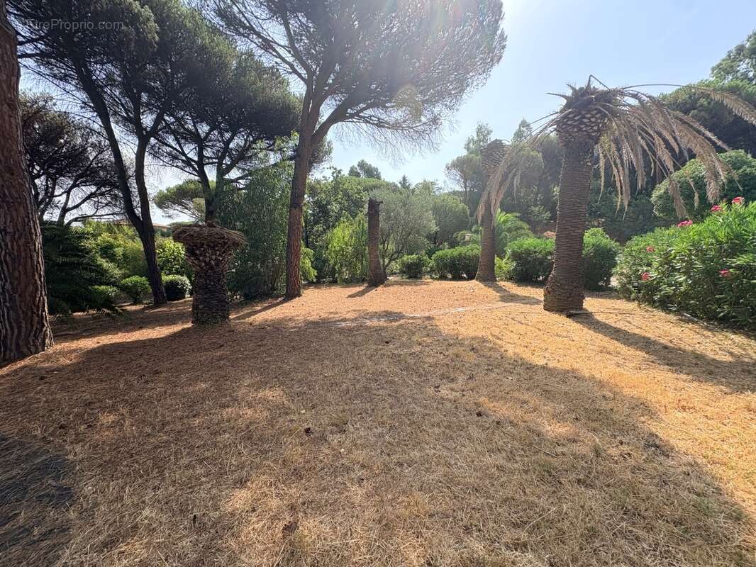 Opportunité rare : Maison avec fort potentiel d'extension / Projet de rénovation ou nouvelle maison - photo 3