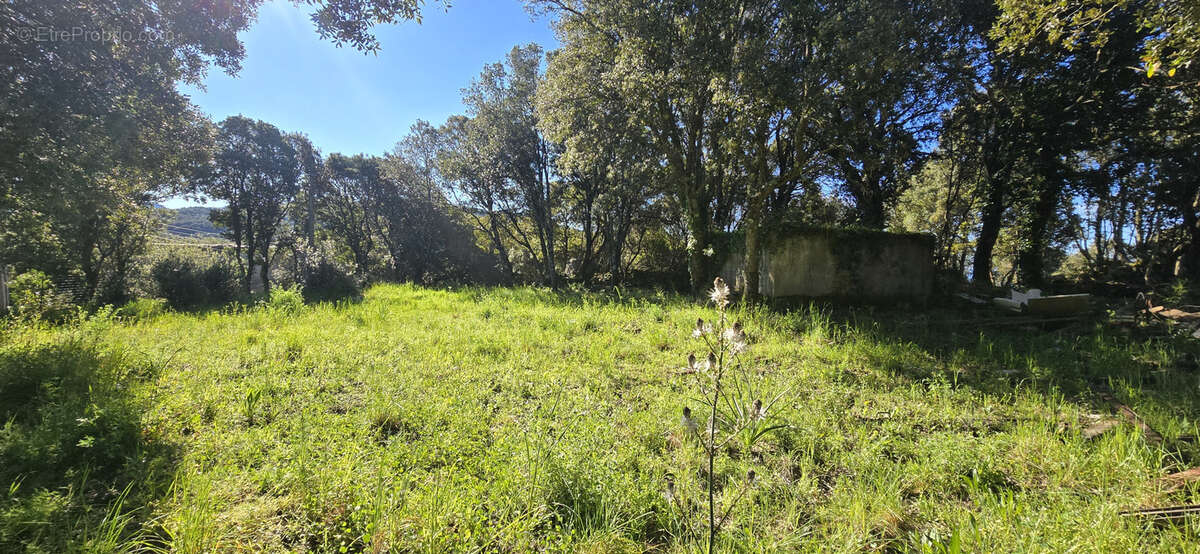 Terrain à GIUNCHETO