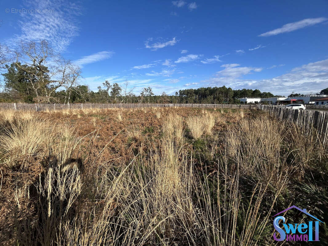 Terrain à MOLIETS-ET-MAA