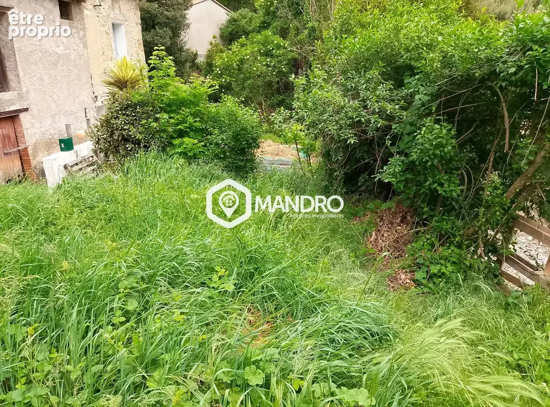 le 1er jardin