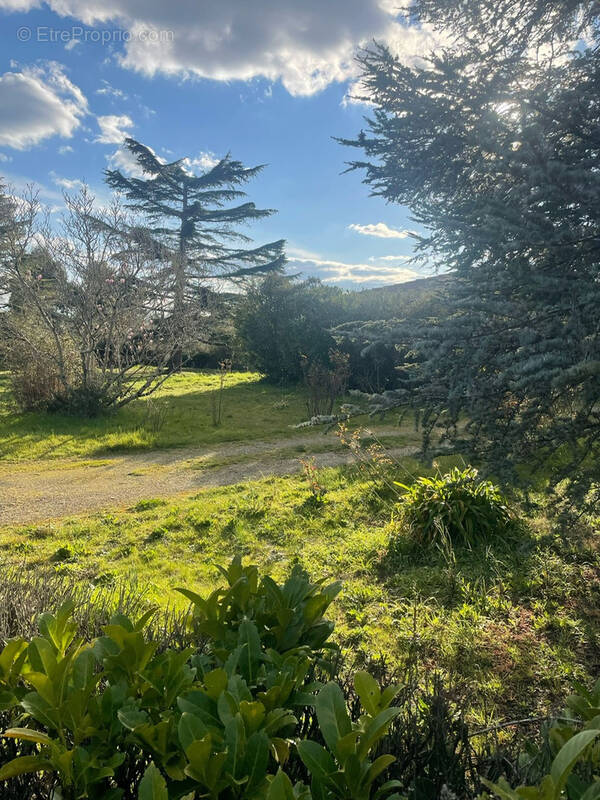 Terrain à SAINT-PIERRE-DE-LAGES