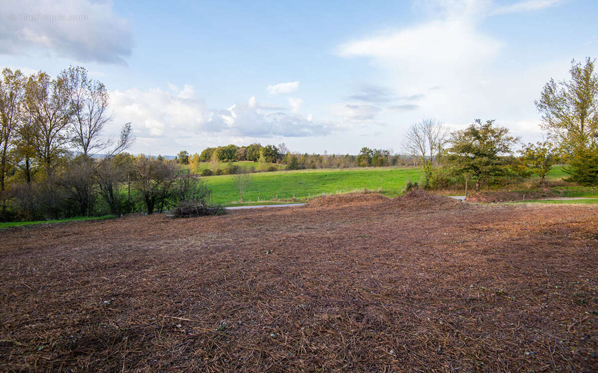 Terrain à DRUELLE