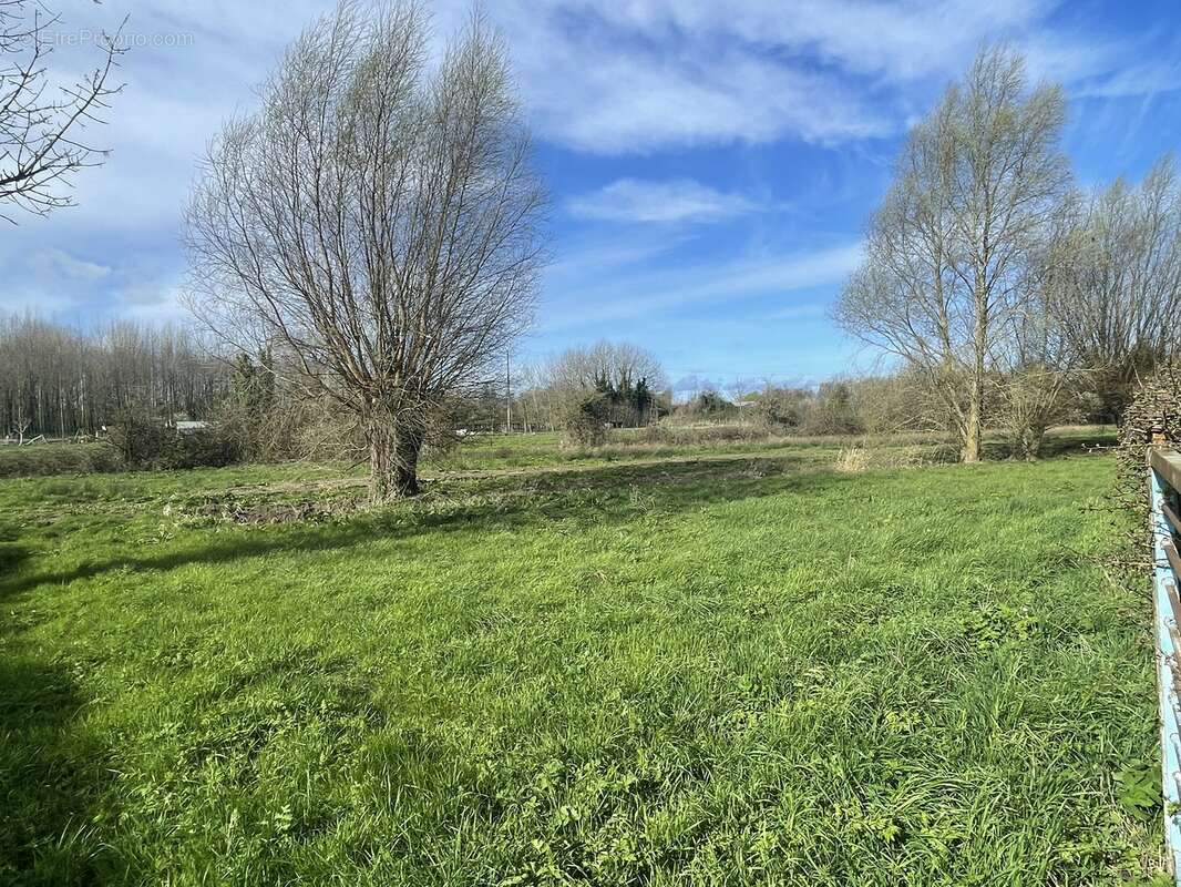 Terrain à QUERNES
