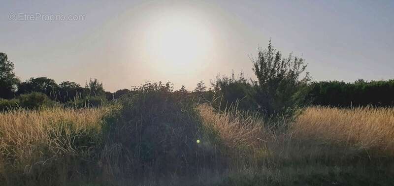 Terrain à SAINT-CIERS-DU-TAILLON