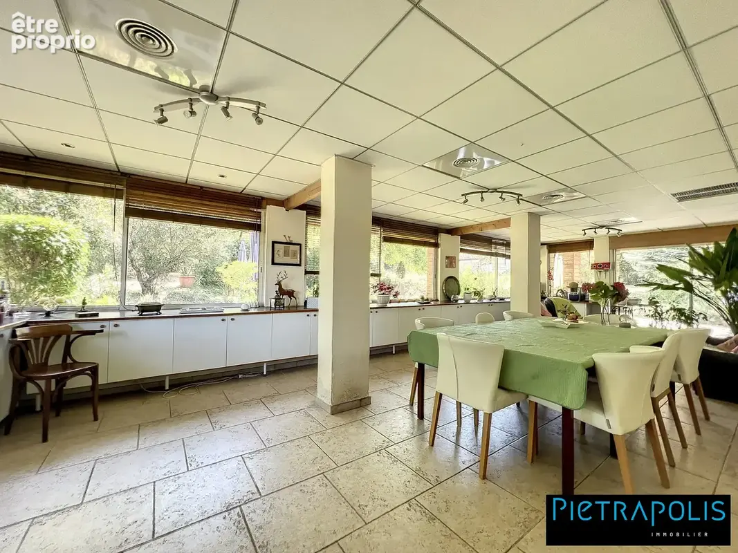 Maison 11 pièces 315 m² à vendre à Fleurieu-Sur-Saone (69250) - photo 5