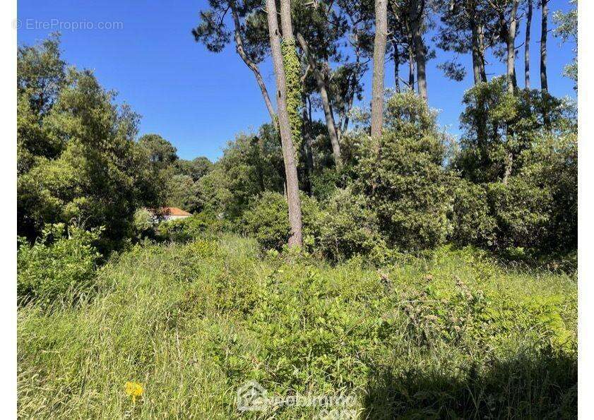Bien exposé. - Terrain à JARD-SUR-MER