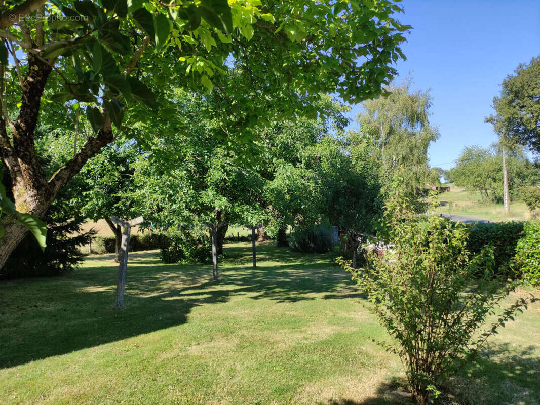 garden - Maison à BUSSIERE-GALANT