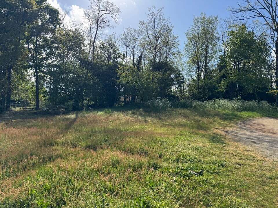 Terrain à LESPARRE-MEDOC