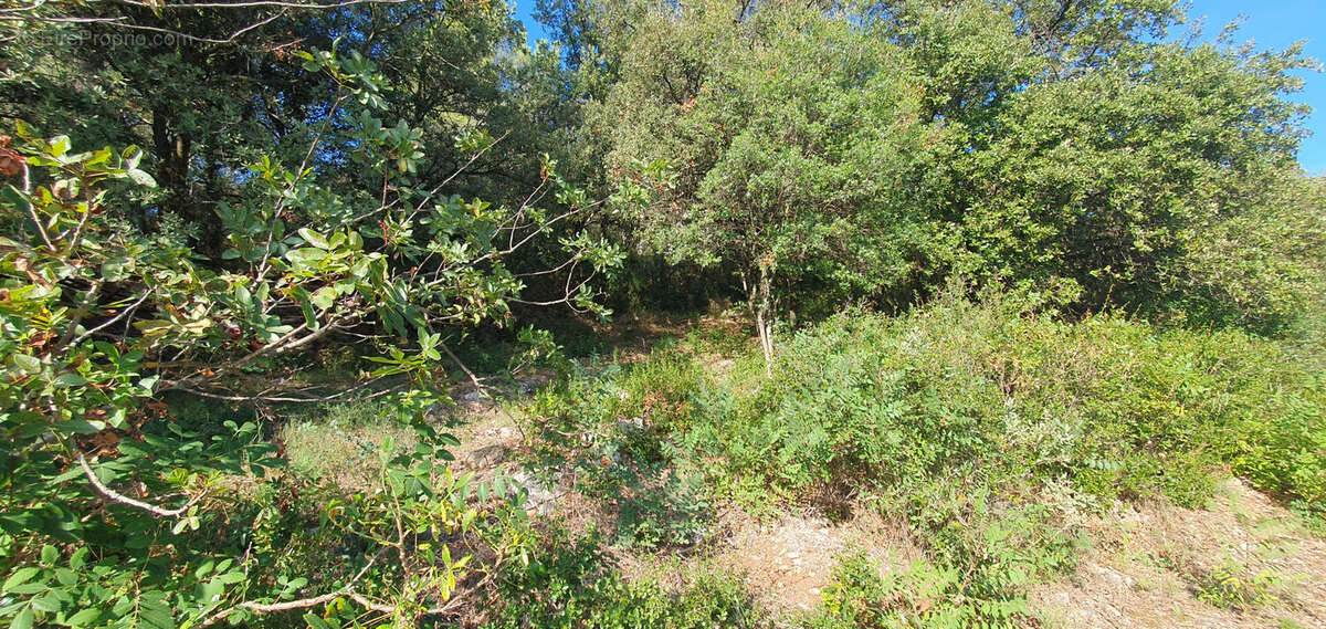 Terrain à LE LUC