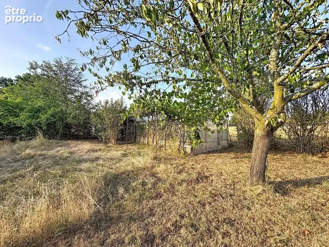 Vendat : Maison 199m² avec terrasse et jardin - photo 5