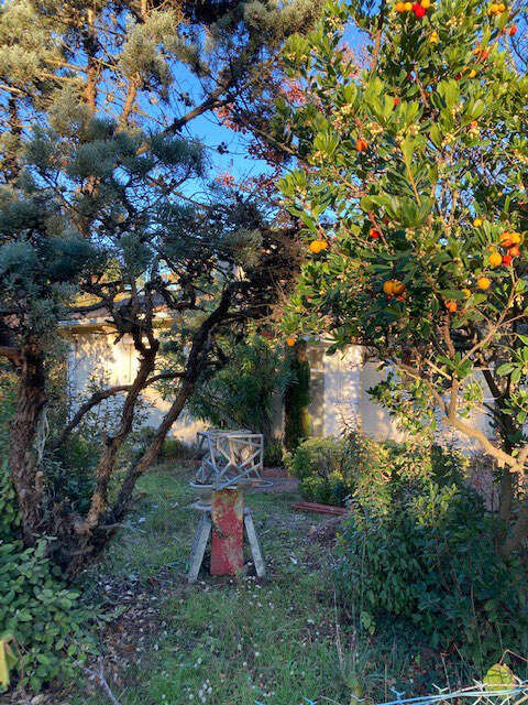 Maison à VENDAYS-MONTALIVET