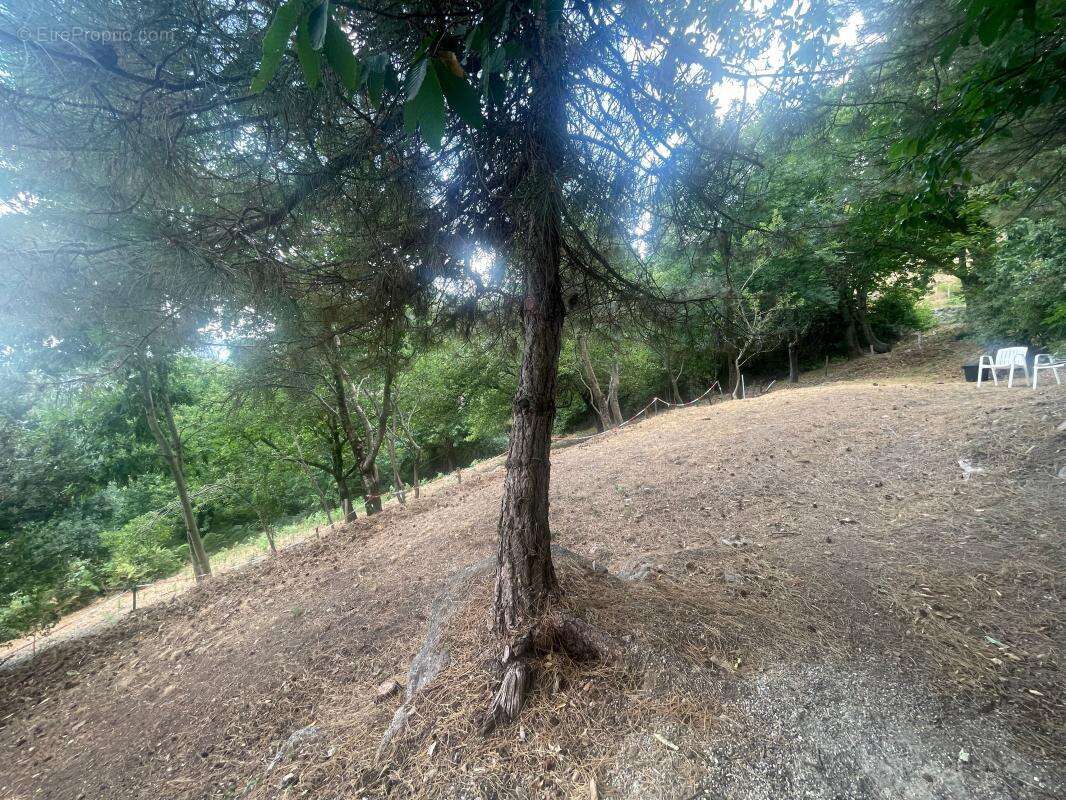 Malarce sur la thine - photo 7