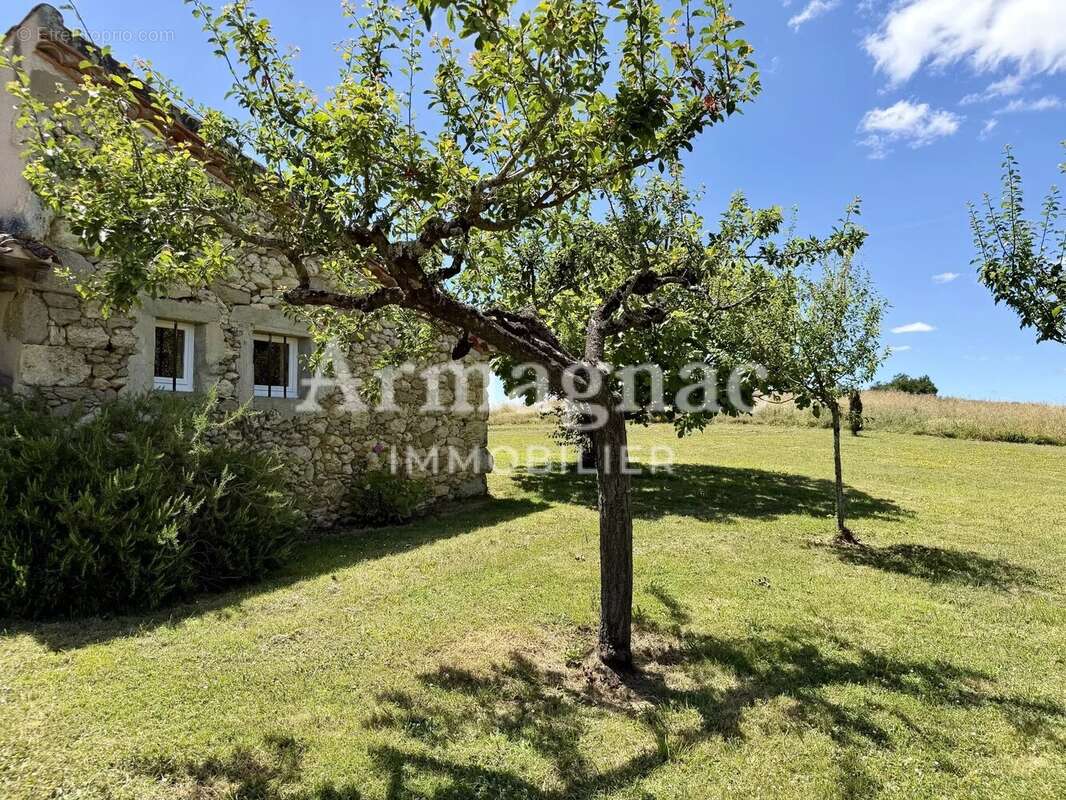 Maison en pierre avec piscine - photo 2