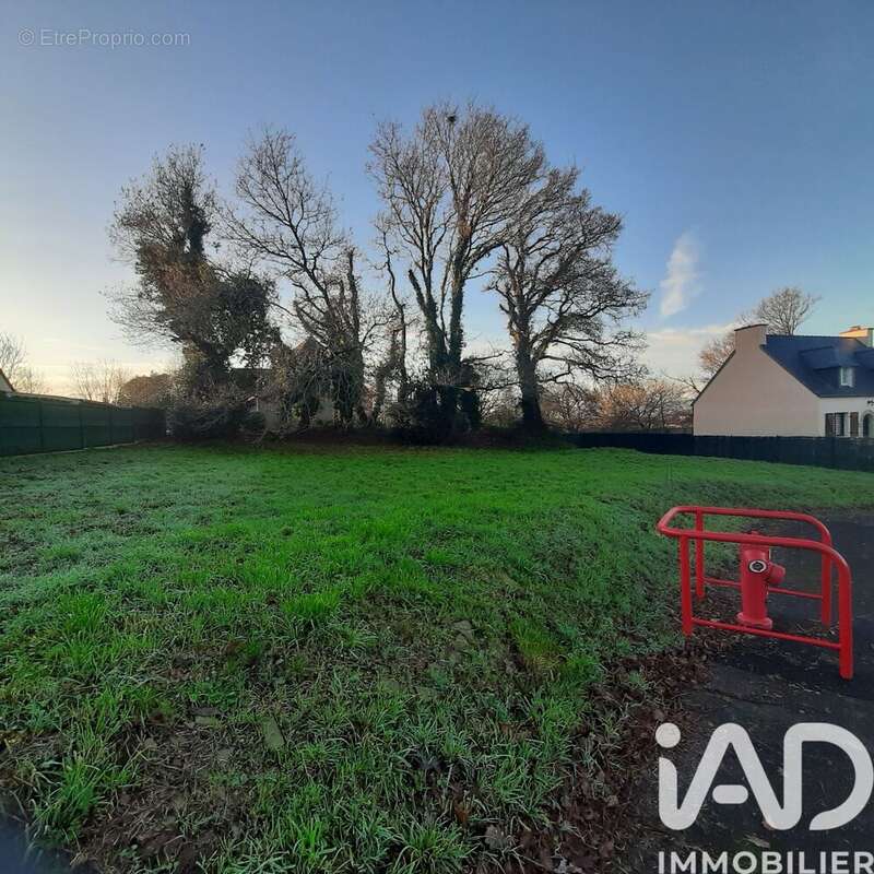 Photo 3 - Terrain à CARHAIX-PLOUGUER