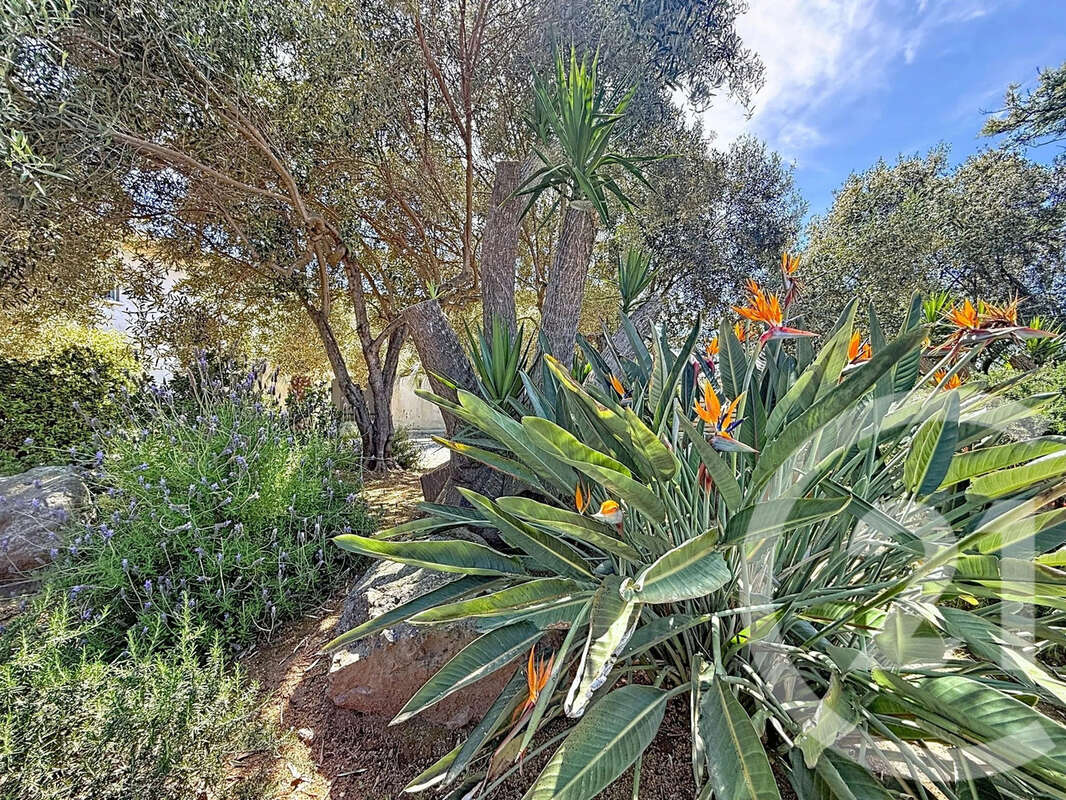 Appartement à SANTA-LUCIA-DI-MORIANI