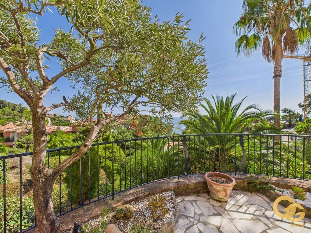 Appartement à THEOULE-SUR-MER