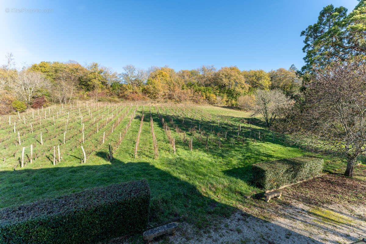 Maison à LESTIAC-SUR-GARONNE