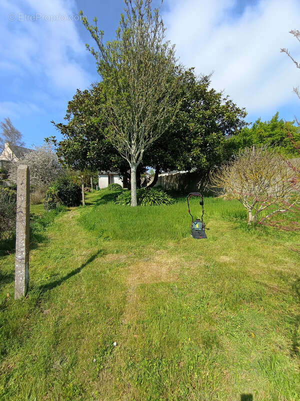 Maison à LEZARDRIEUX