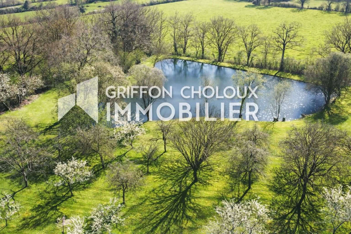 Terrain à MAULEVRIER