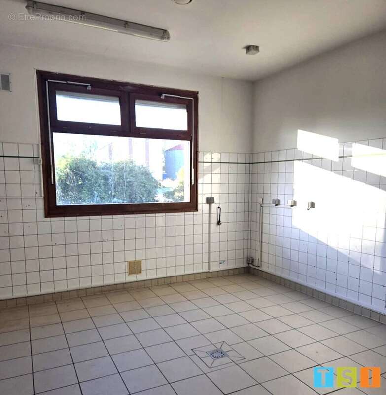 Commerce à PEGUILHAN