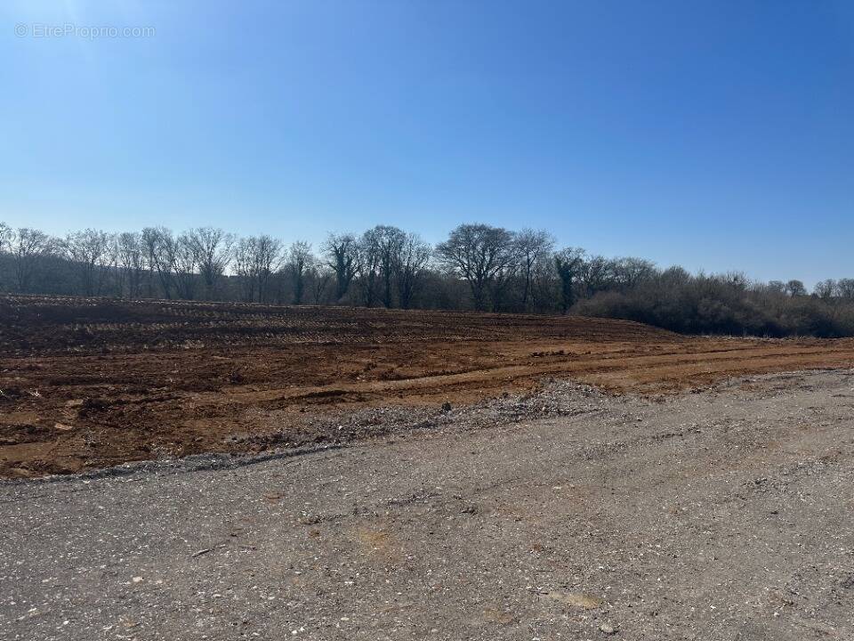 Terrain à MONT-BONVILLERS