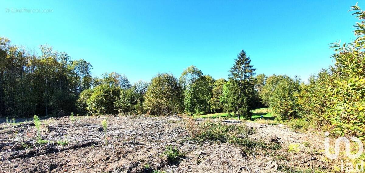 Photo 1 - Terrain à ALBUSSAC