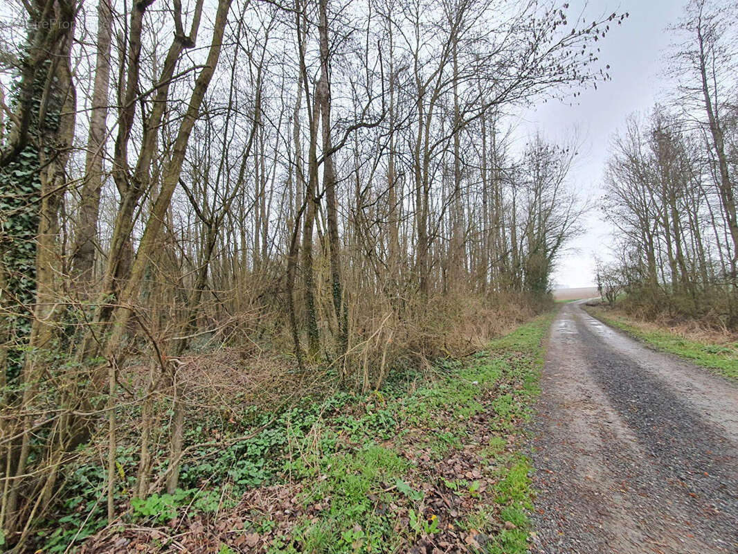Terrain à SAINT-QUENTIN