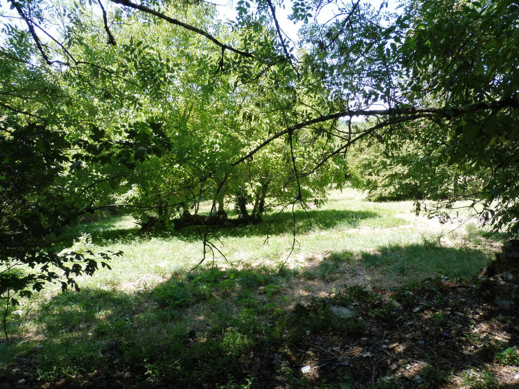 Axe riberac  perigueux - photo 11