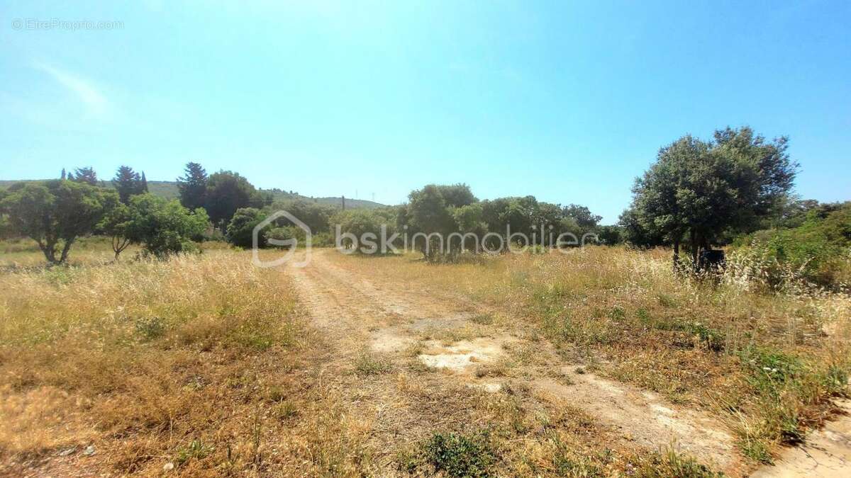 Maison à BALARUC-LE-VIEUX