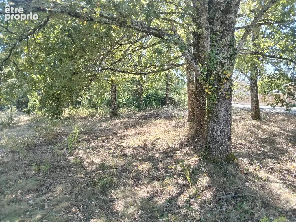 Photo Terrain à Salles au prix de 170 000€