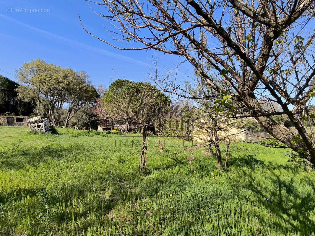 Terrain à SAINT-LAURENT-LA-VERNEDE
