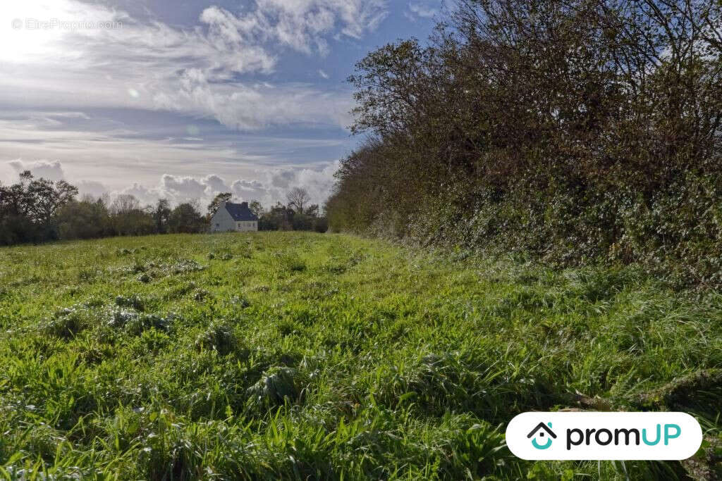Terrain à LOQUEFFRET