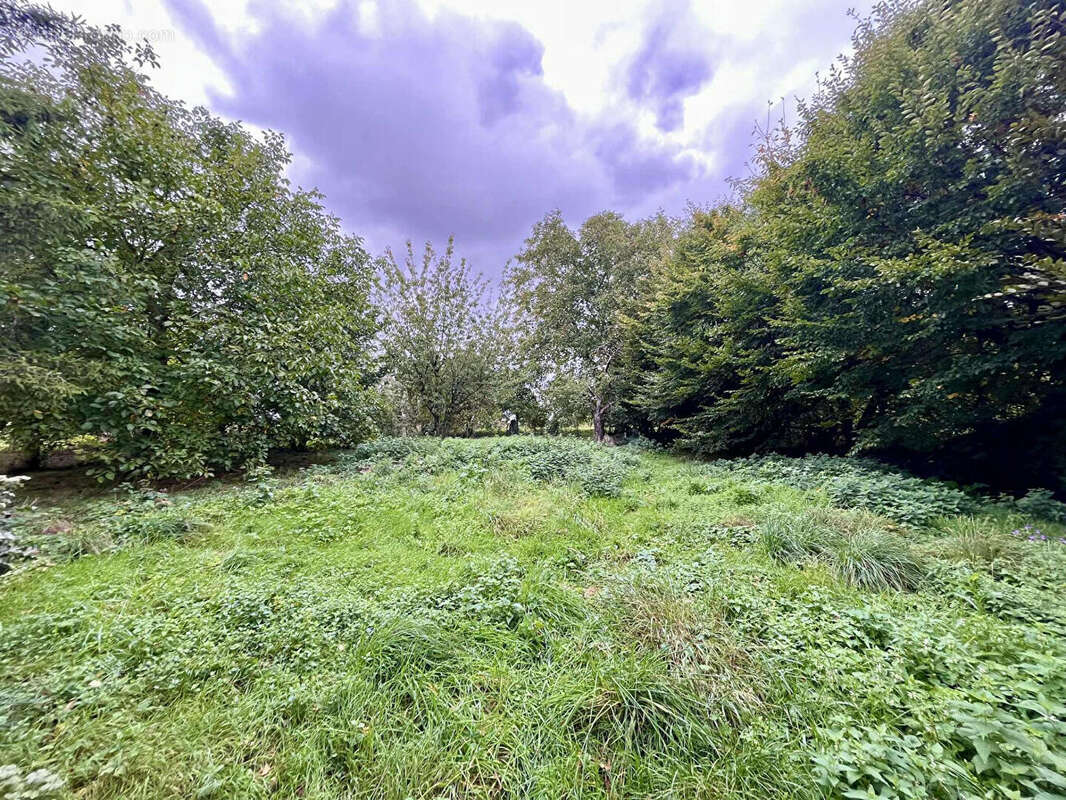 Terrain à VILLERS-COTTERETS