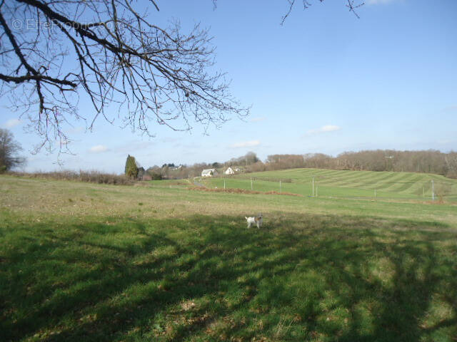 Terrain à LASCAUX