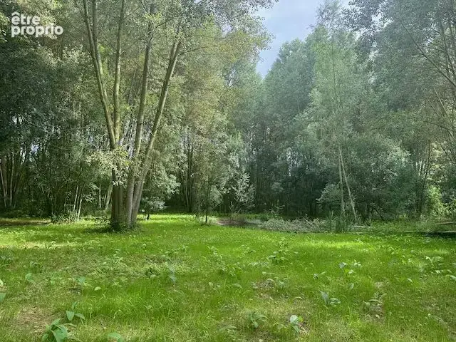 Terrain 8 023 m² à vendre à Thire (85210) - photo 4